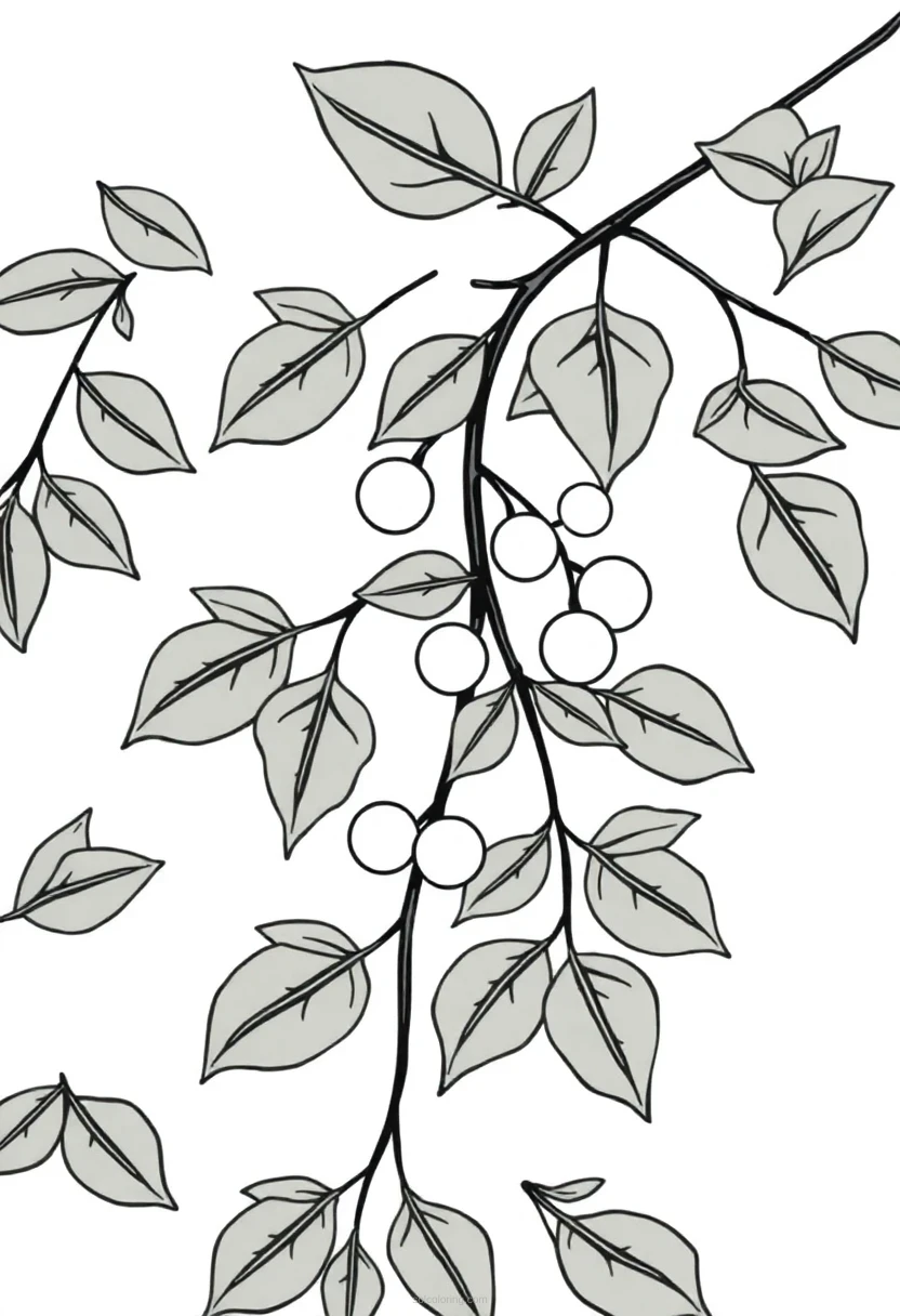 Mistletoe Branch coloring pages