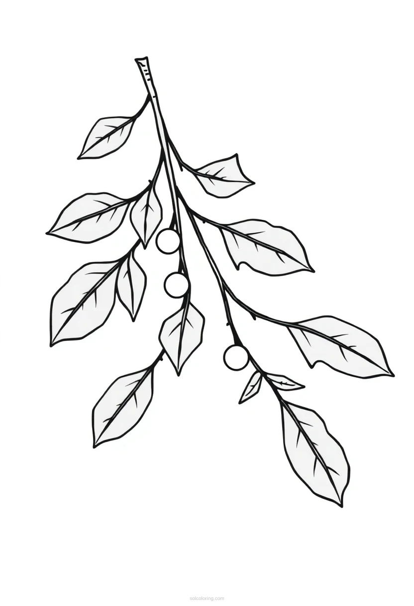 Mistletoe Branch coloring page for kids
