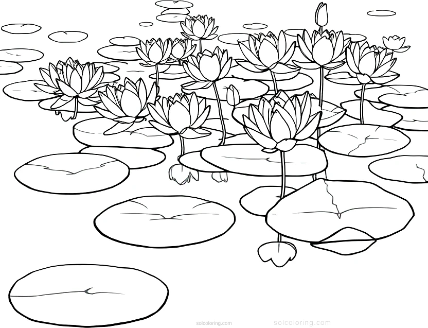 Monet Water Lilies coloring page for kids