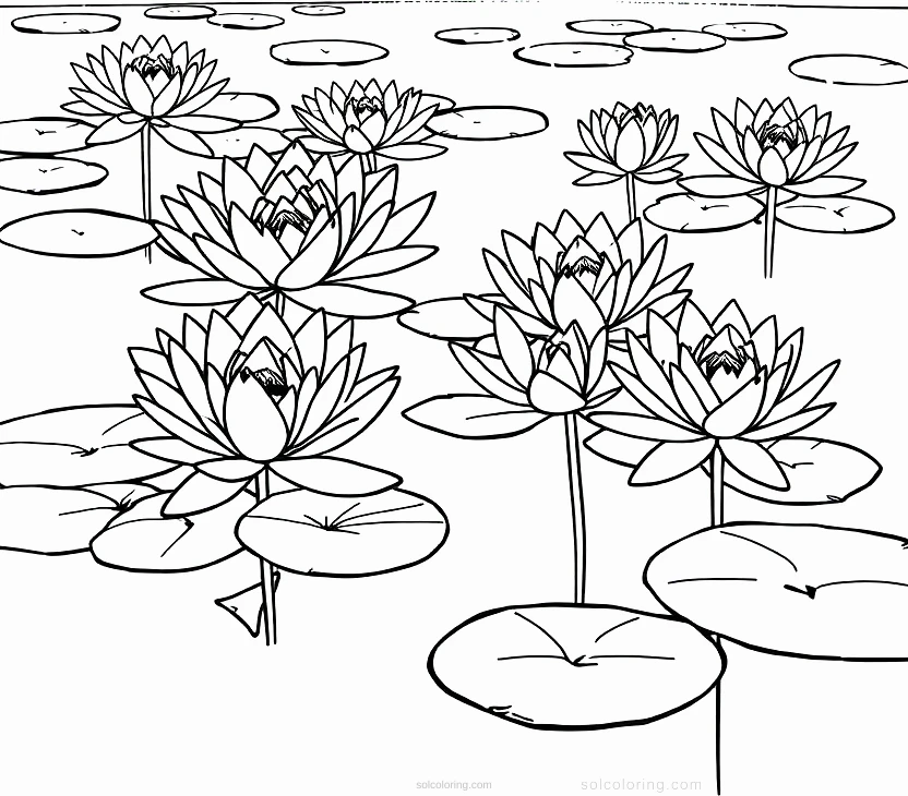 Monet Water Lilies coloring page for kids