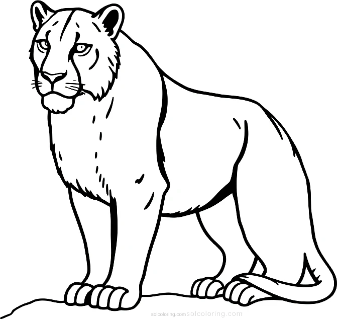 Mountain Lion coloring page for kids