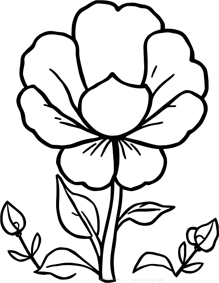 O Keeffe Flower Close Up coloring page for kids