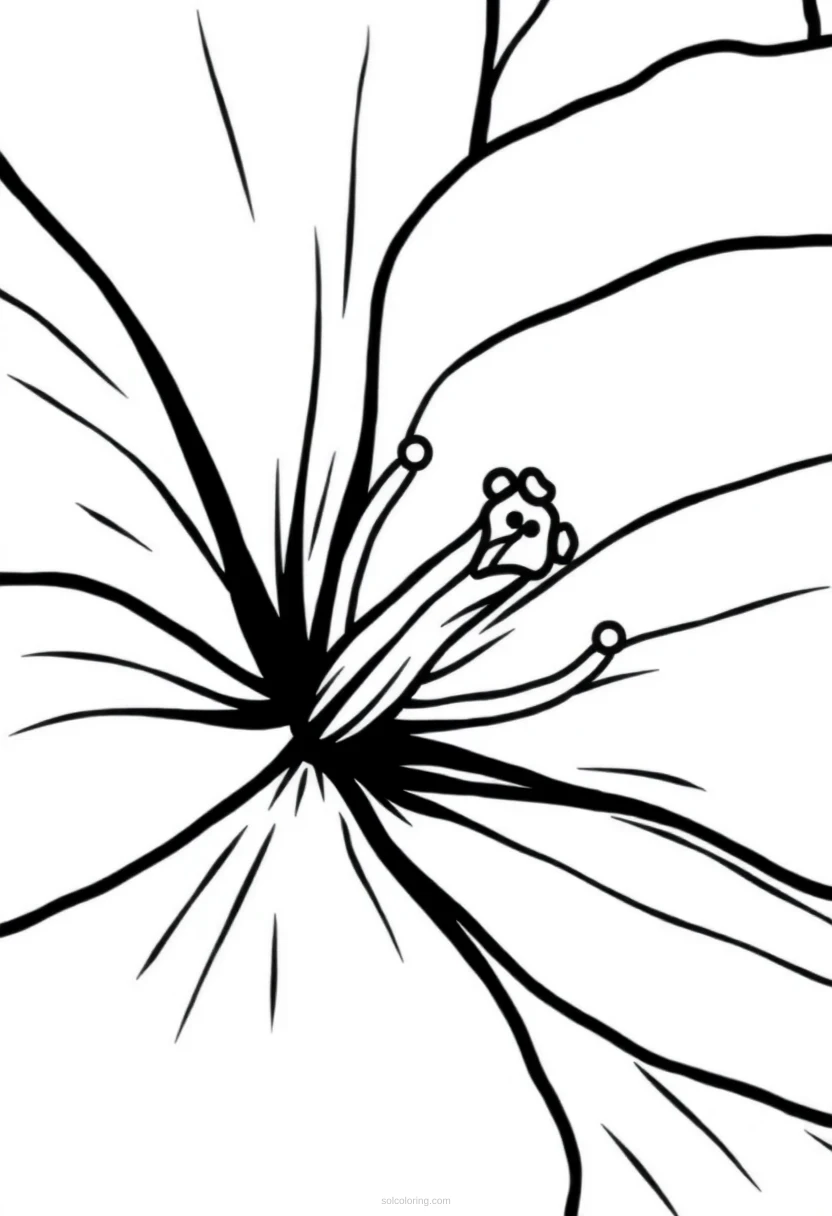 O Keeffe Flower Close Up coloring page for kids