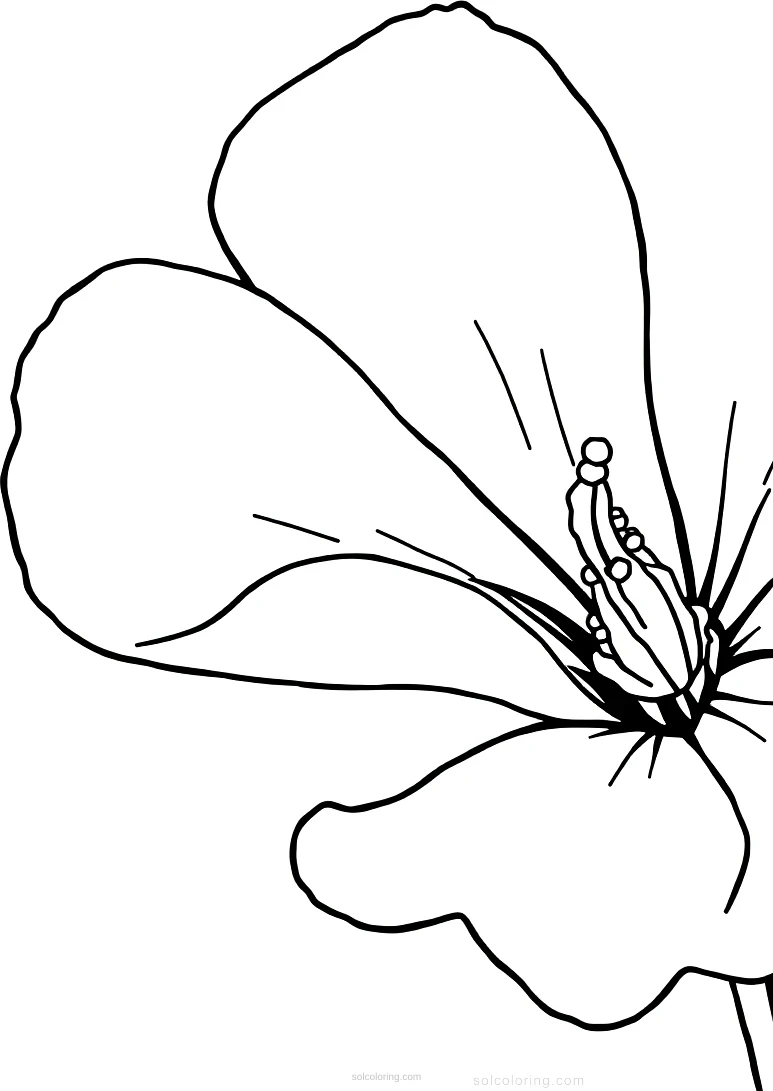 O Keeffe Flower Close Up coloring page for kids