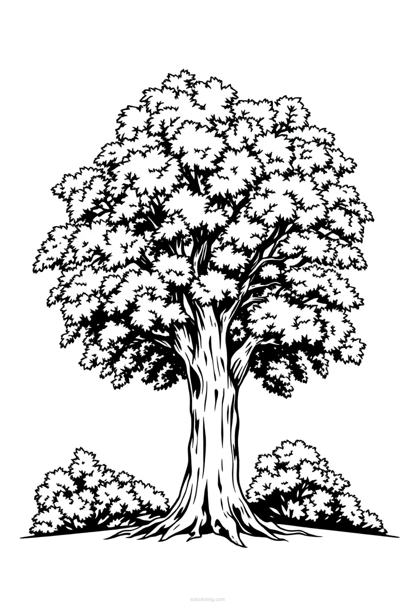 Oak Tree coloring page for kids