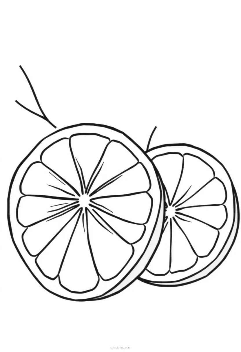 Orange Slices coloring page for kids