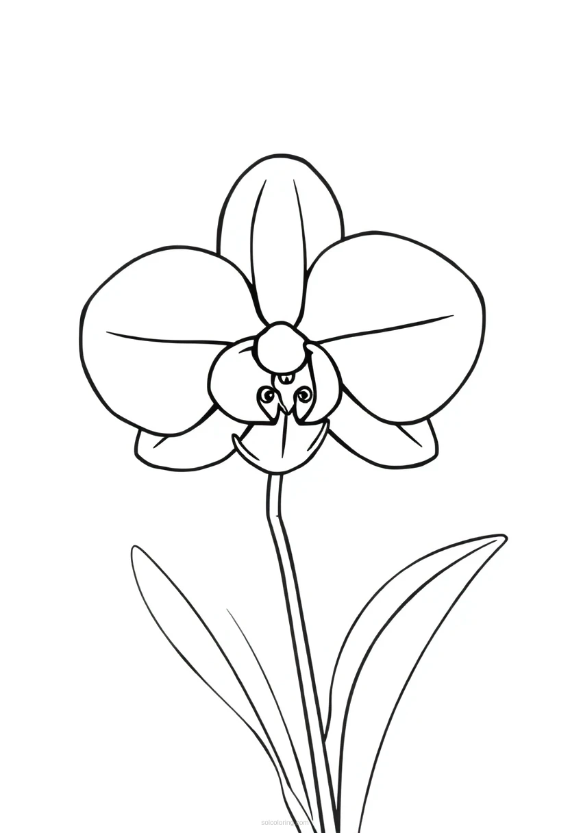 Orchid Cute Cartoon coloring page for kids