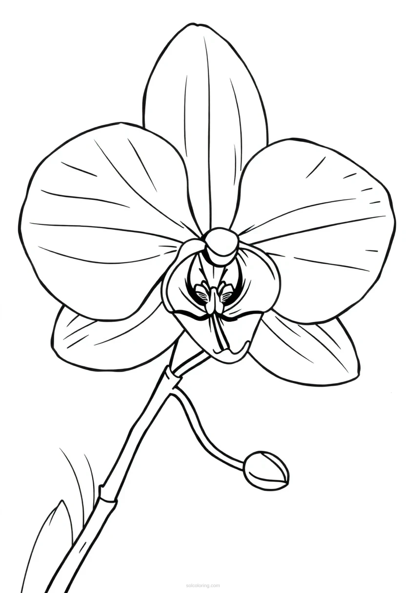 Orchid Cute Cartoon coloring page for kids