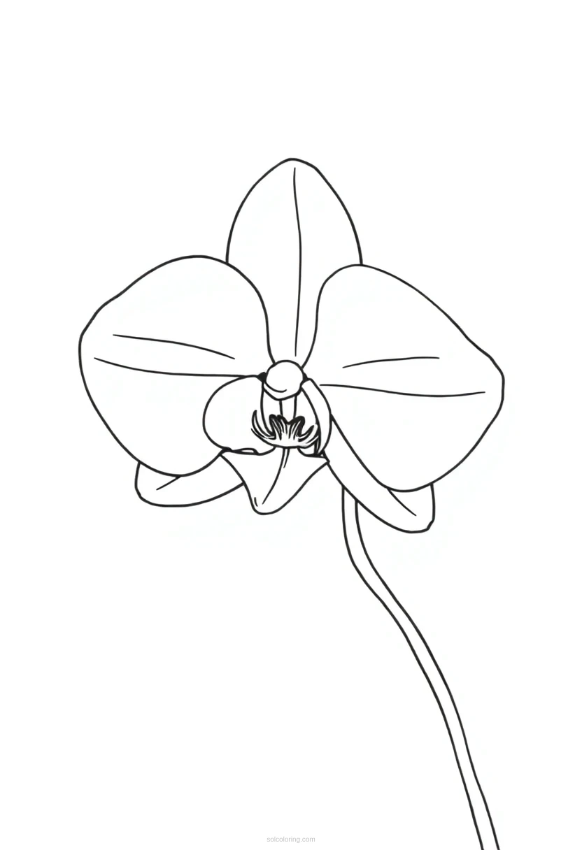 Orchid Cute Cartoon coloring page for kids