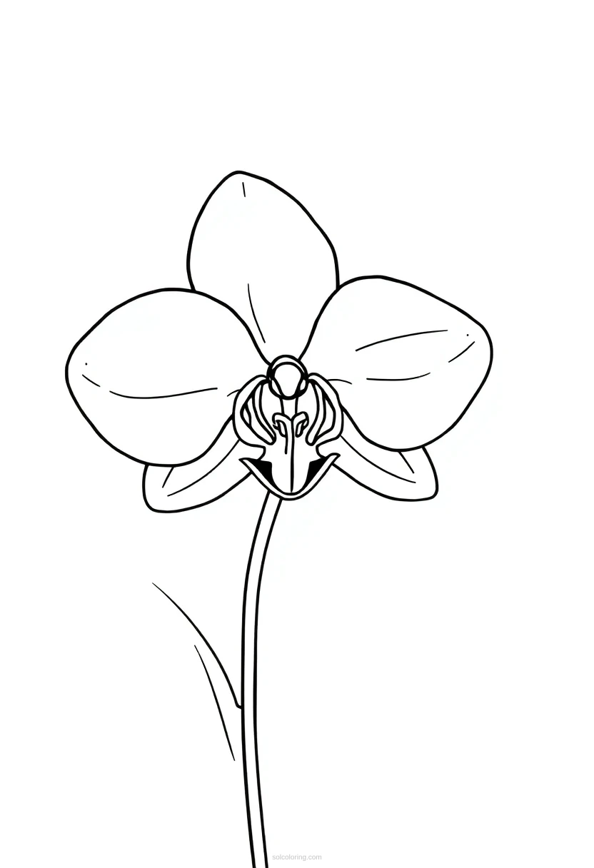 Orchid Cute Cartoon coloring page for kids