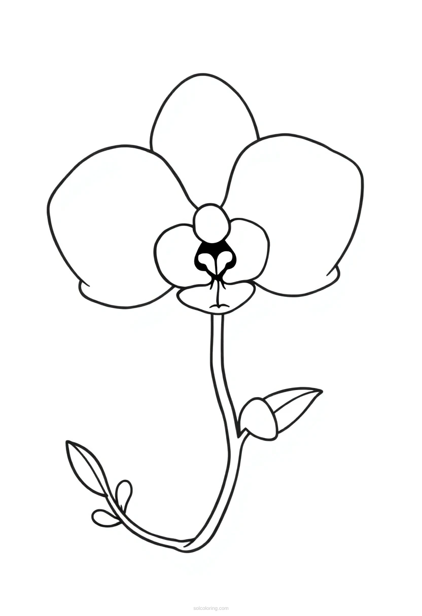 Orchid coloring page for kids