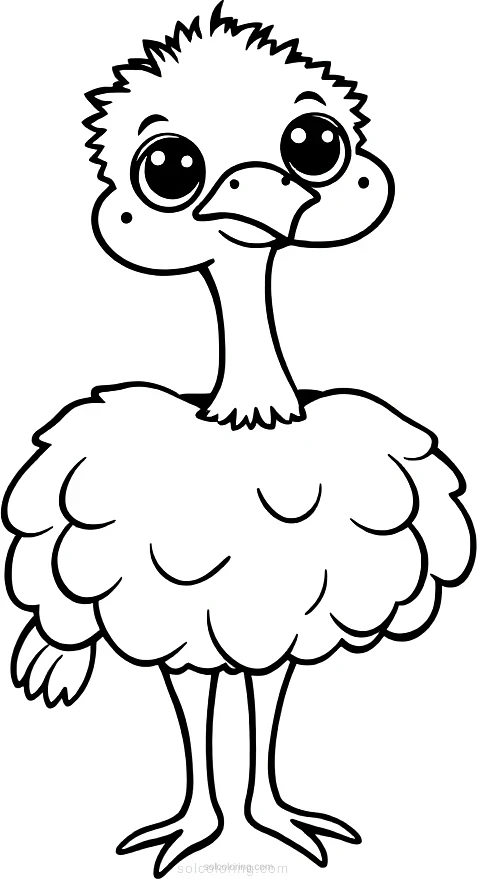 Ostrich coloring page for kids