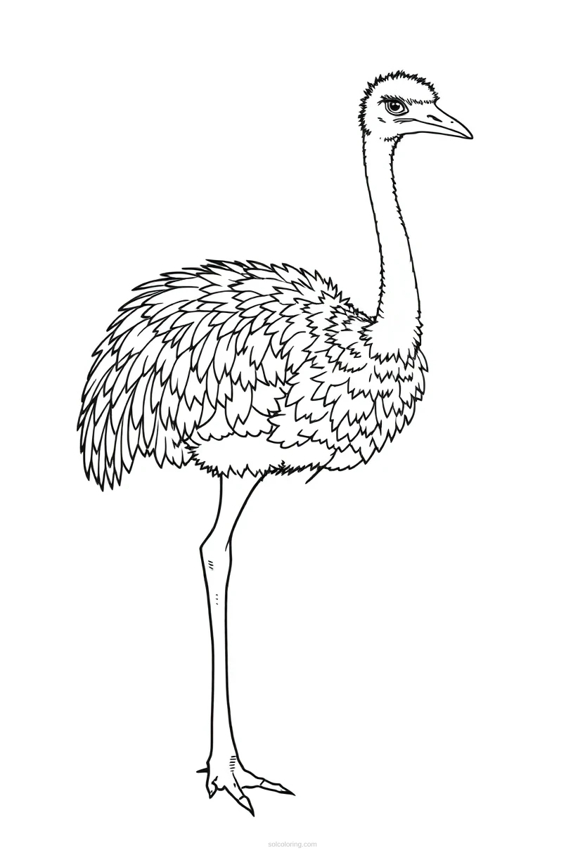 Ostrich coloring page for kids