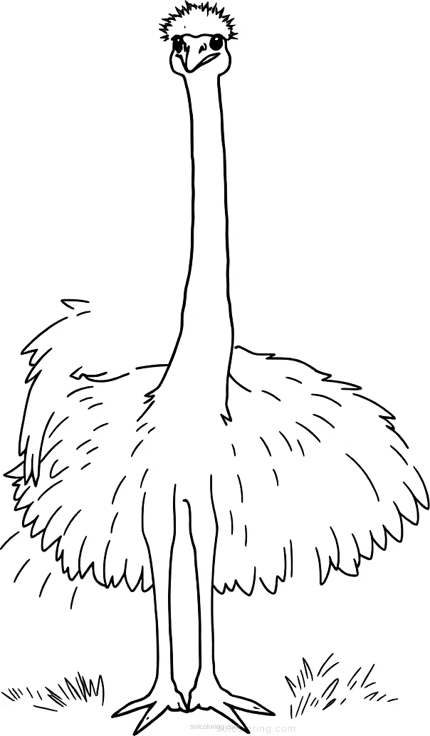 Ostrich coloring page for kids