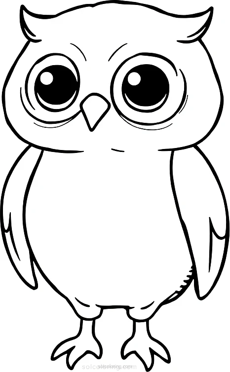 Owl coloring page for kids