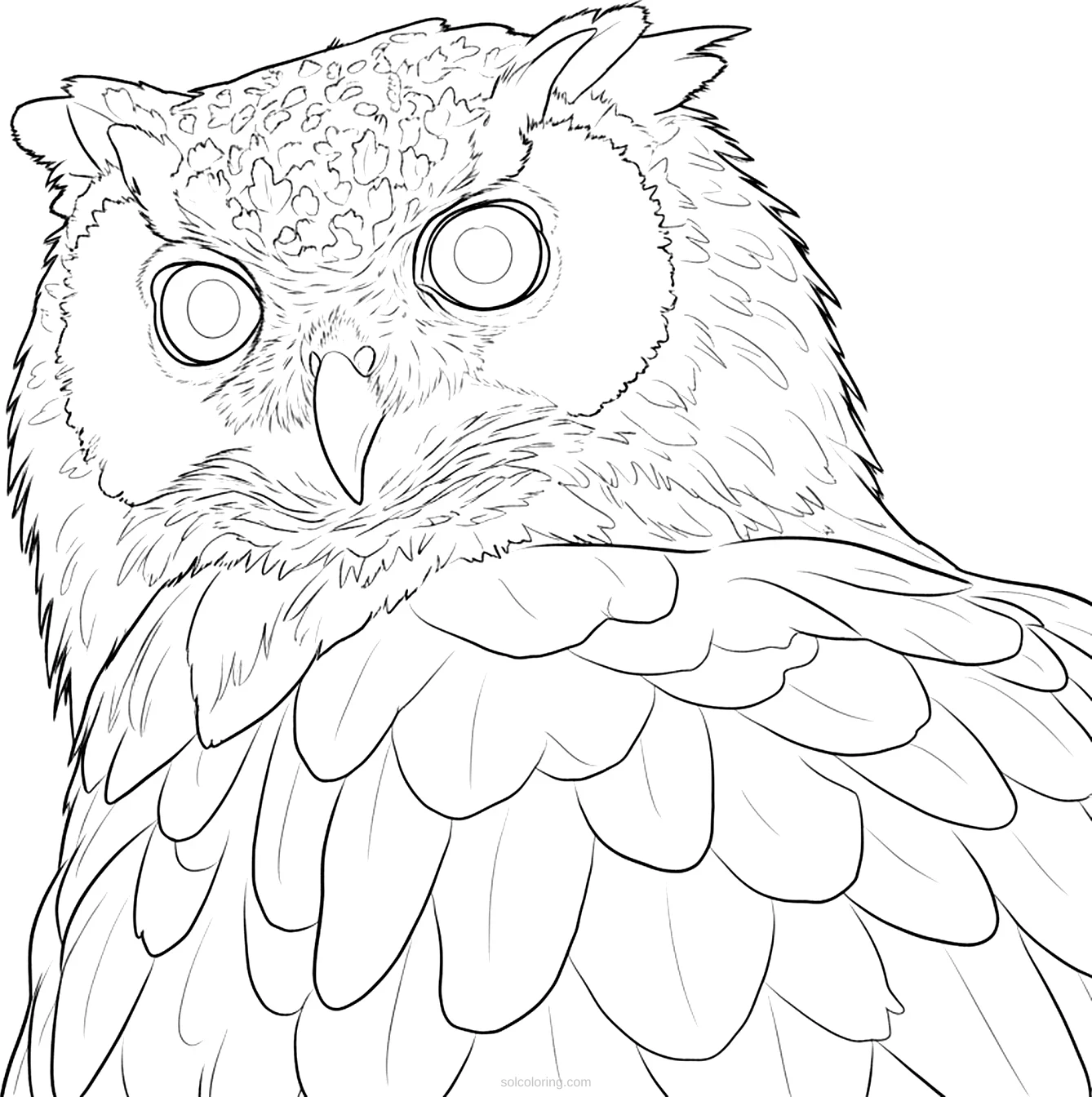 Owl coloring page for kids