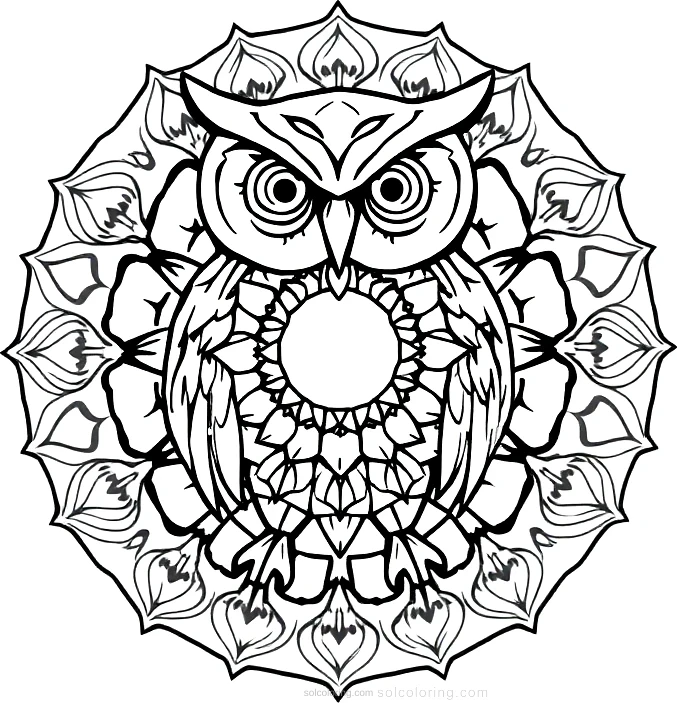Owl coloring page for kids