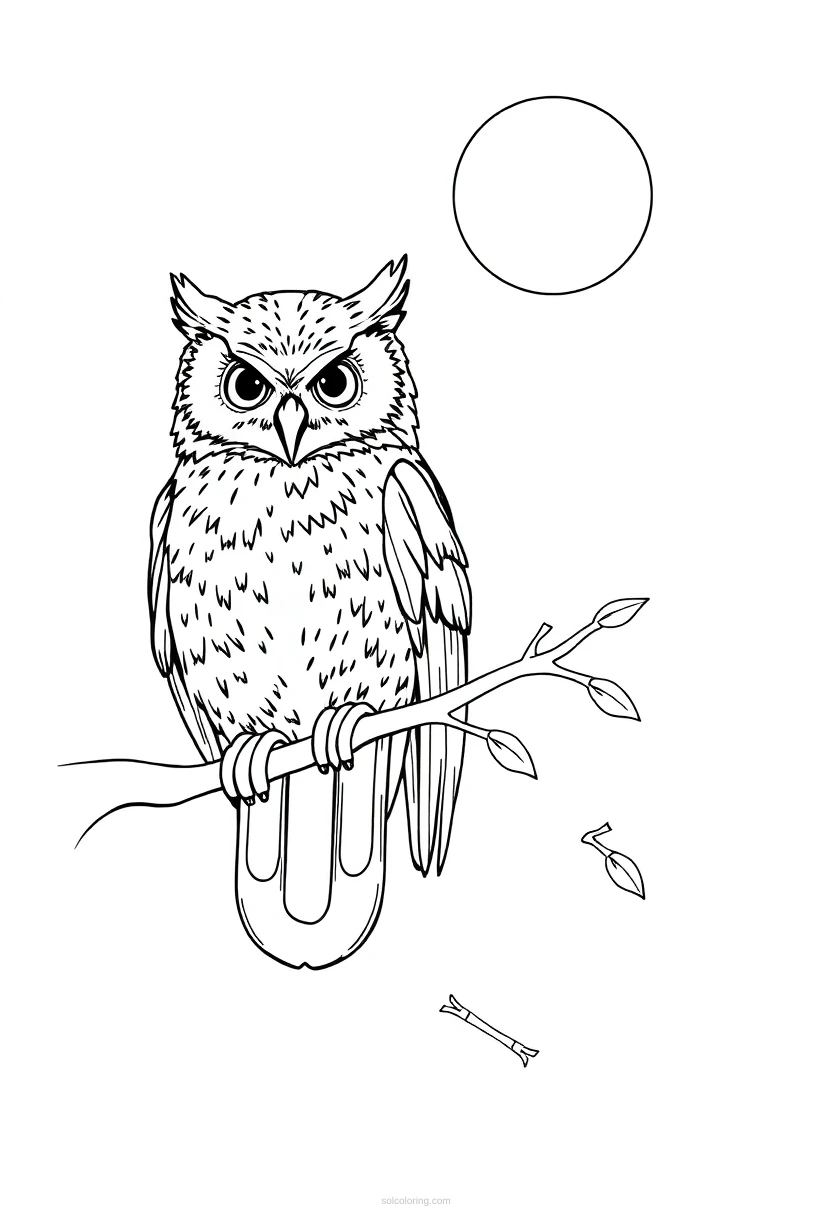 Owl on Branch at Night coloring page for kids