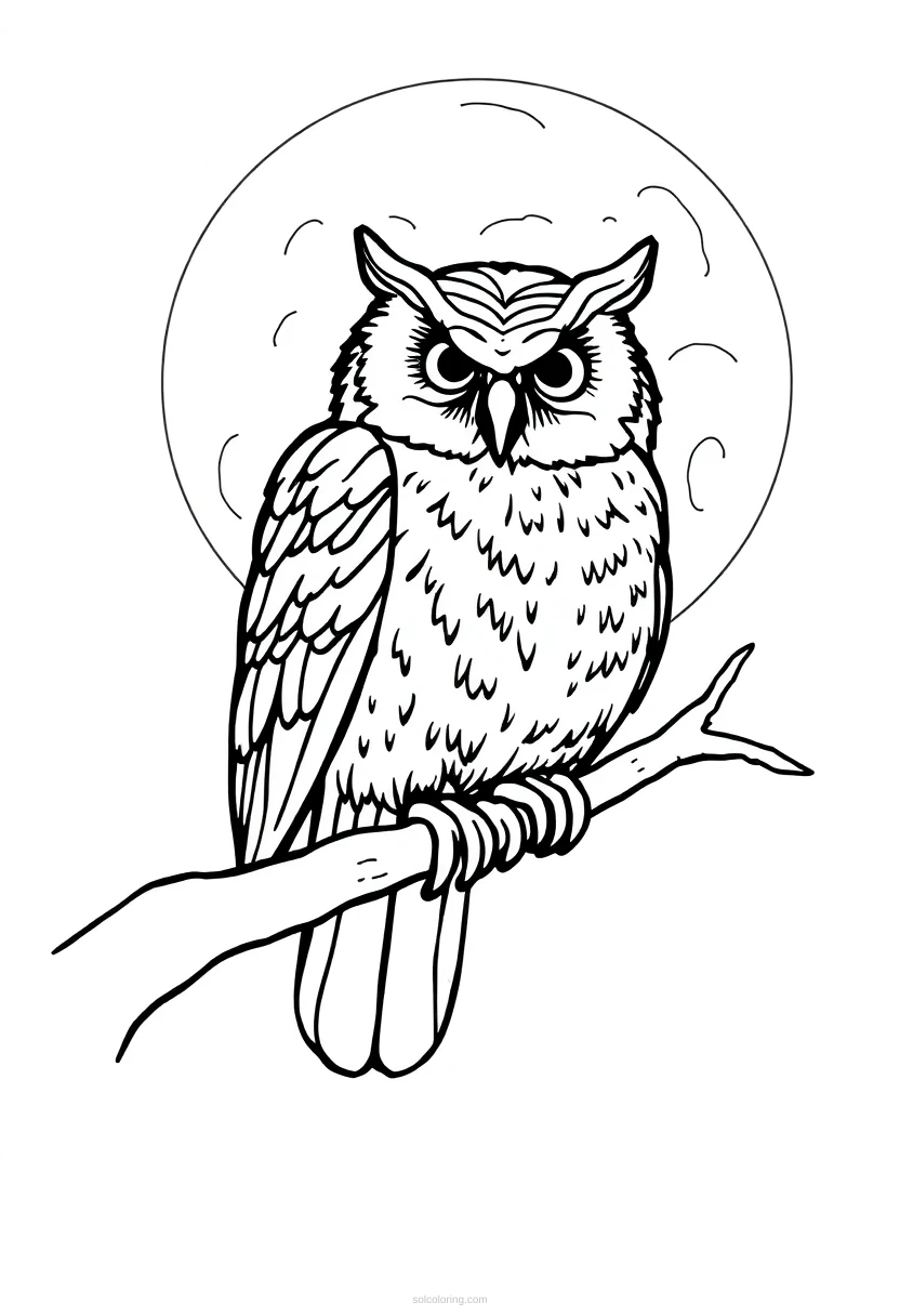Owl On Branch At Night coloring pages