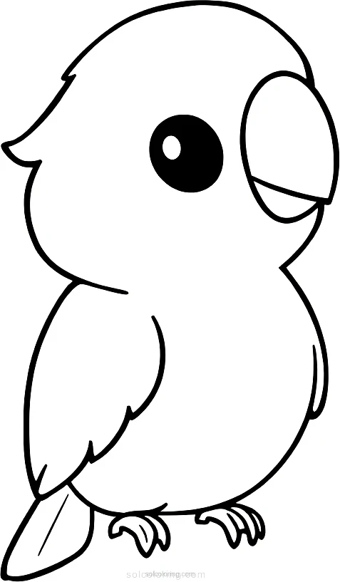 Parrot coloring page for kids