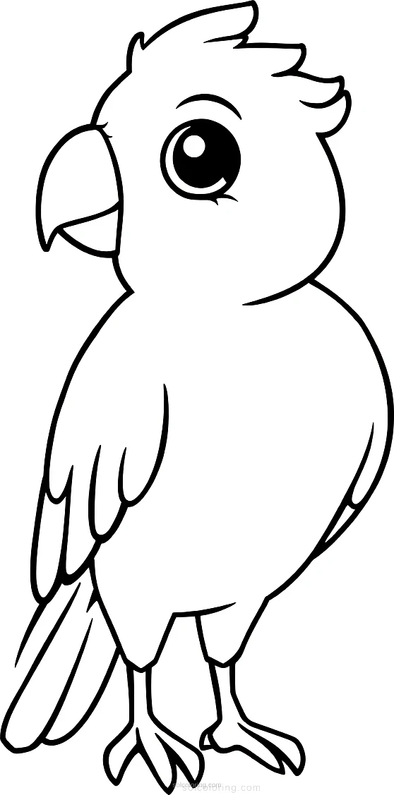 Parrot coloring page for kids