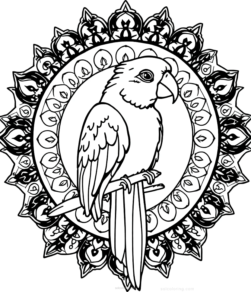 Parrot coloring page for kids