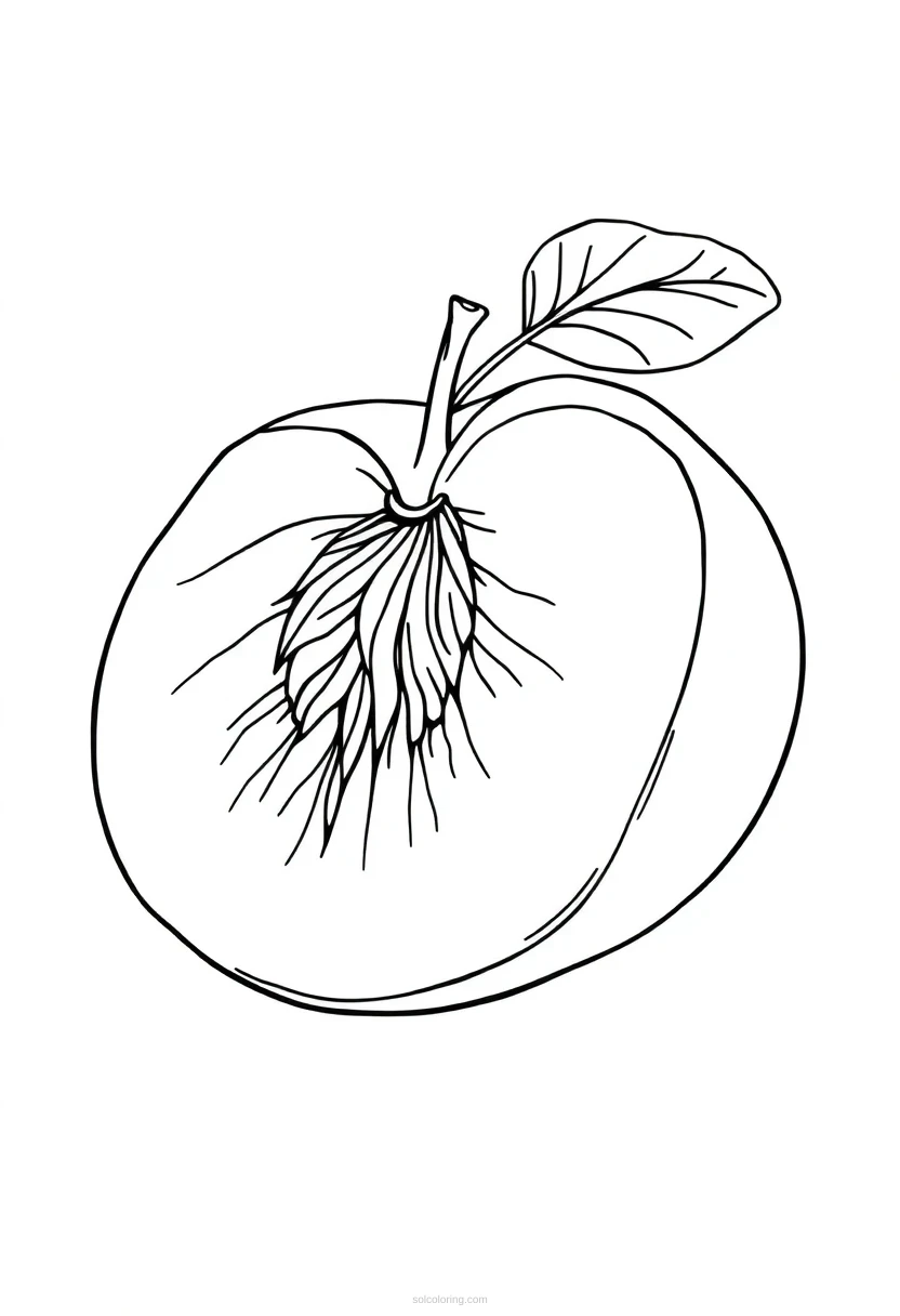 Peach Half coloring page for kids
