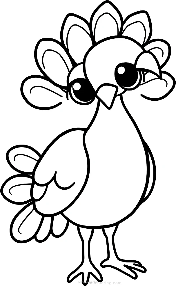 Peacock coloring page for kids