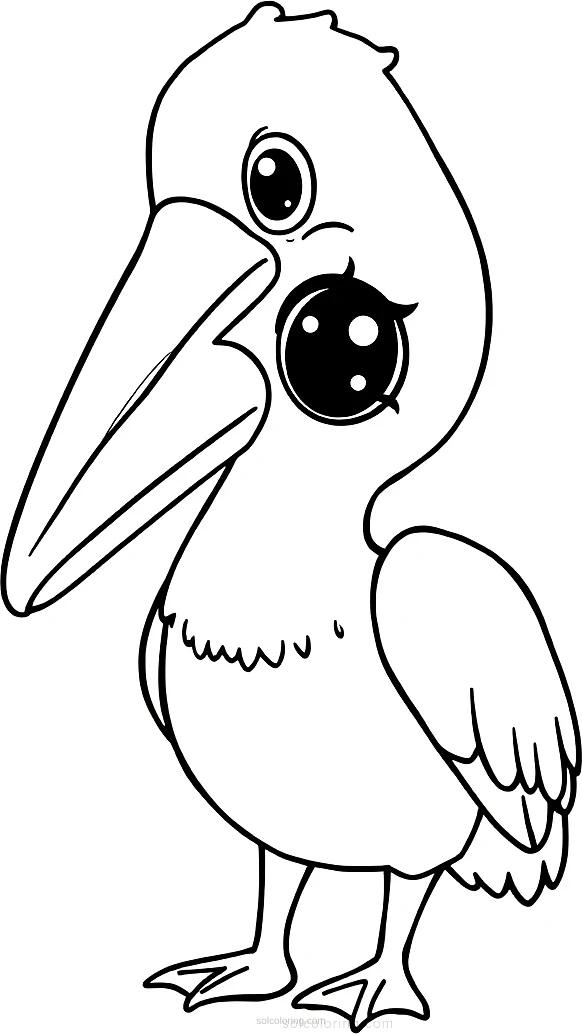 Pelican coloring page for kids