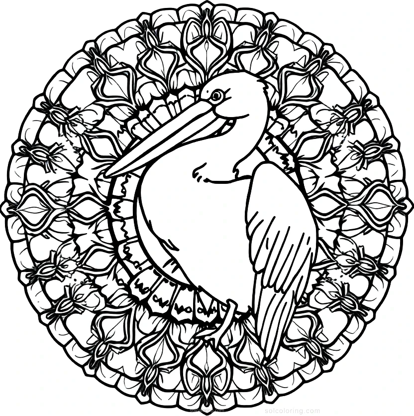 Pelican coloring page for kids