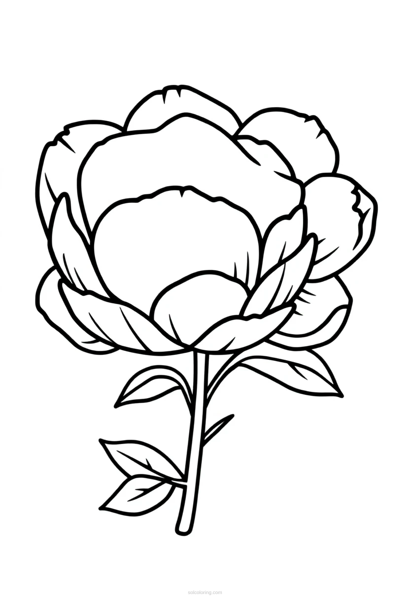 Peony coloring page for kids