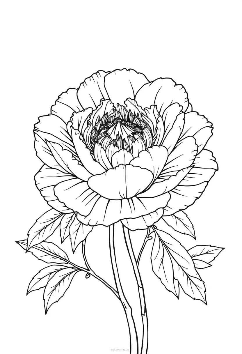 Peony Cute Cartoon coloring page for kids