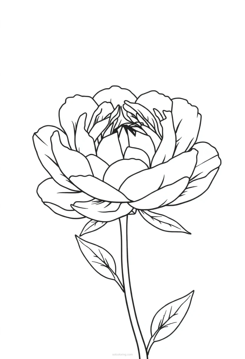 Peony Cute Cartoon coloring page for kids