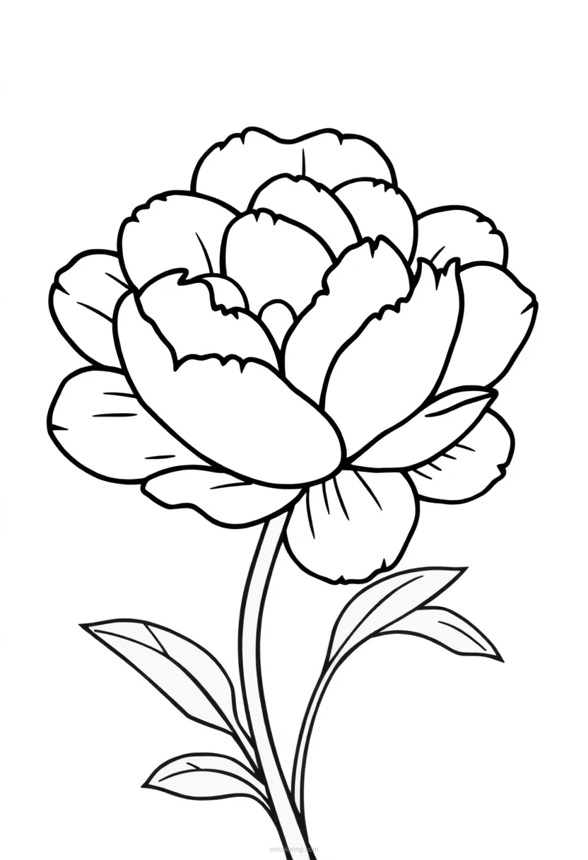 Peony coloring page for kids