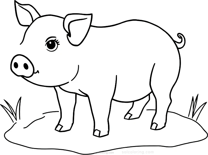 Pig in Mud coloring page for kids