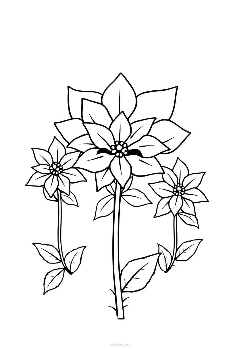 Poinsettia Flowers coloring page for kids