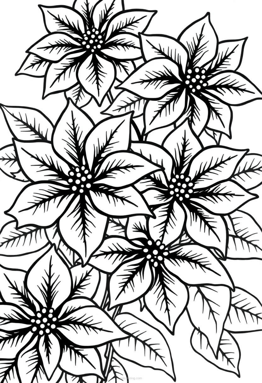 Poinsettia Flowers coloring page for kids