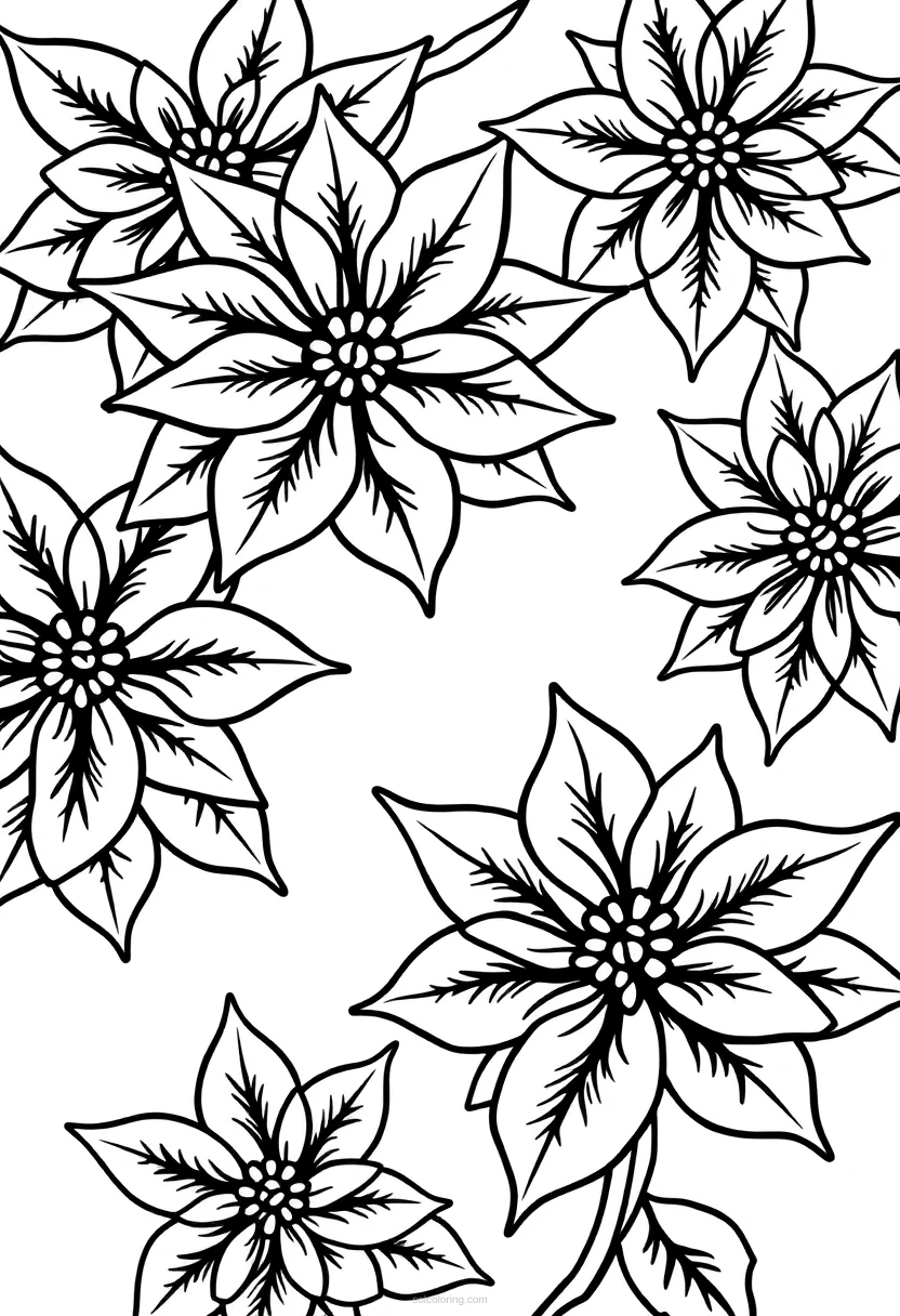 Poinsettia Flowers coloring page for kids