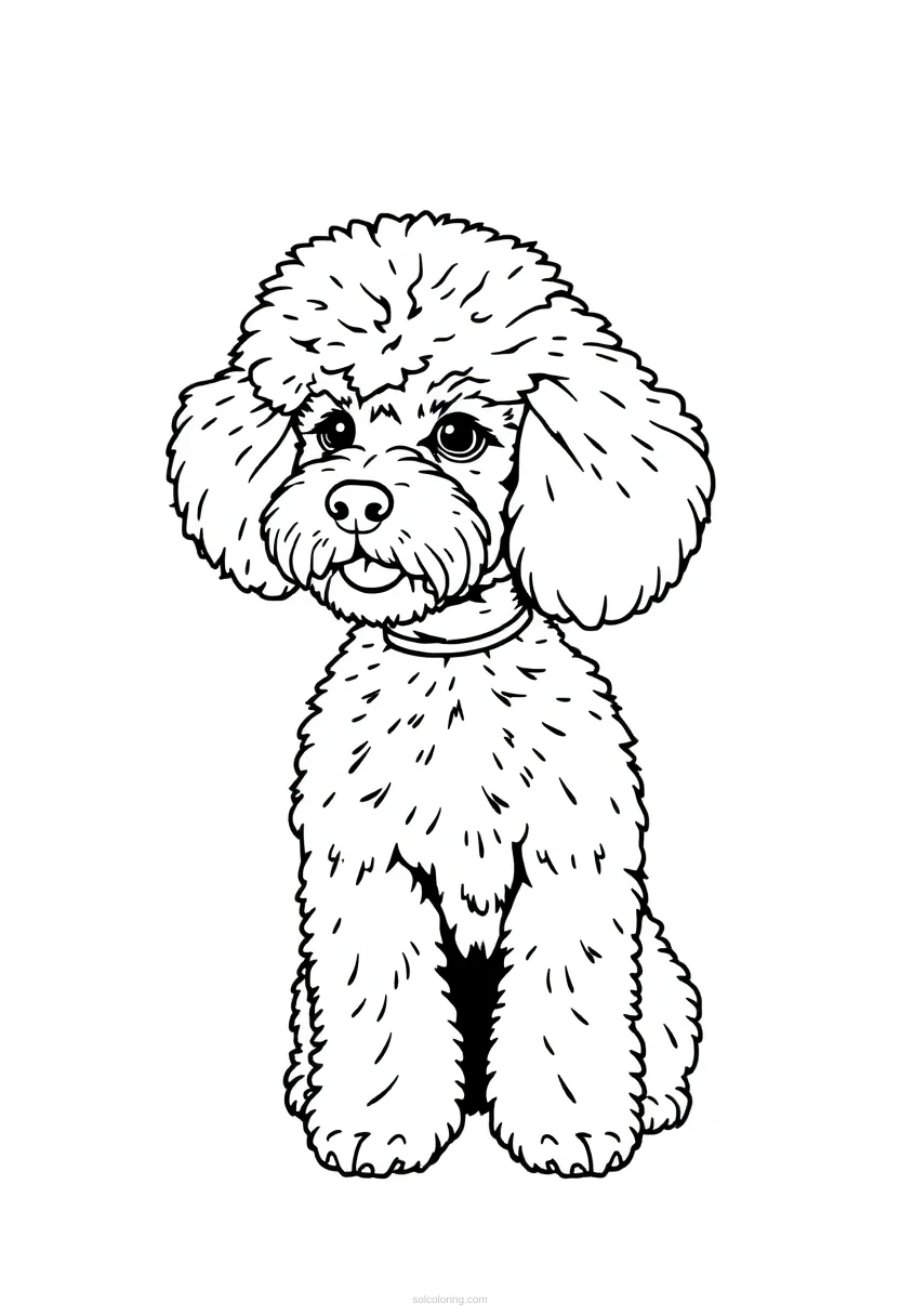 Poodle Getting Groomed coloring page for kids