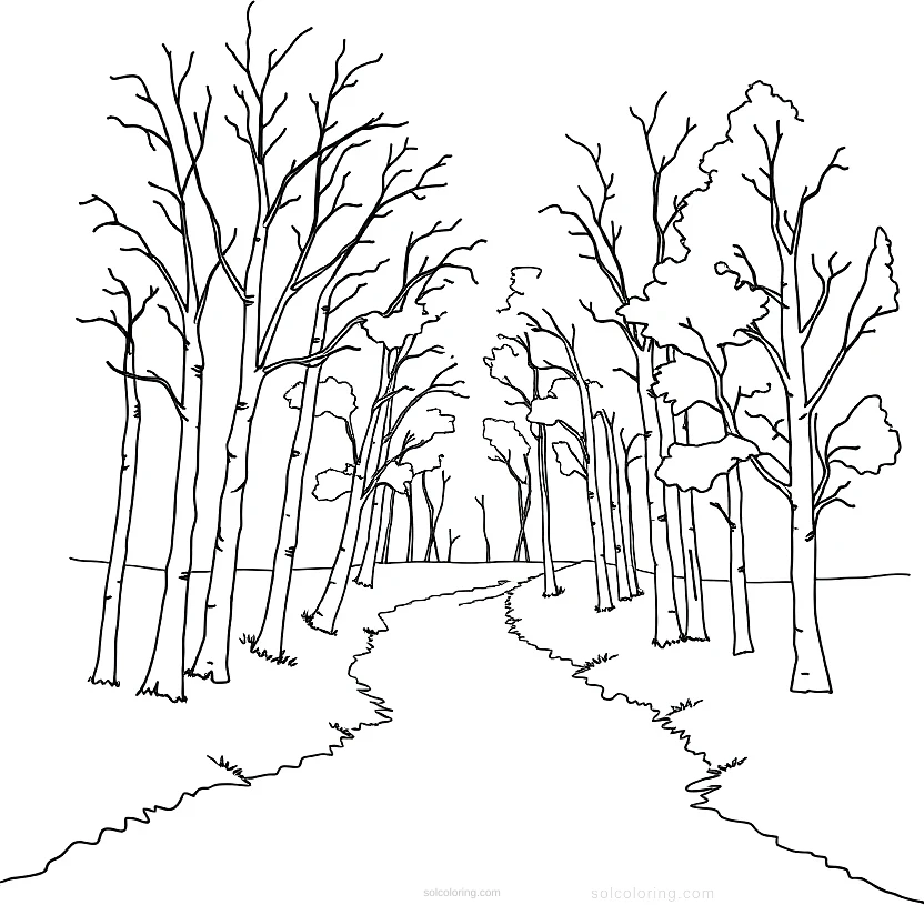 Poplar Trees Along River coloring page for kids