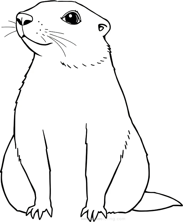 Prairie Dog coloring page for kids