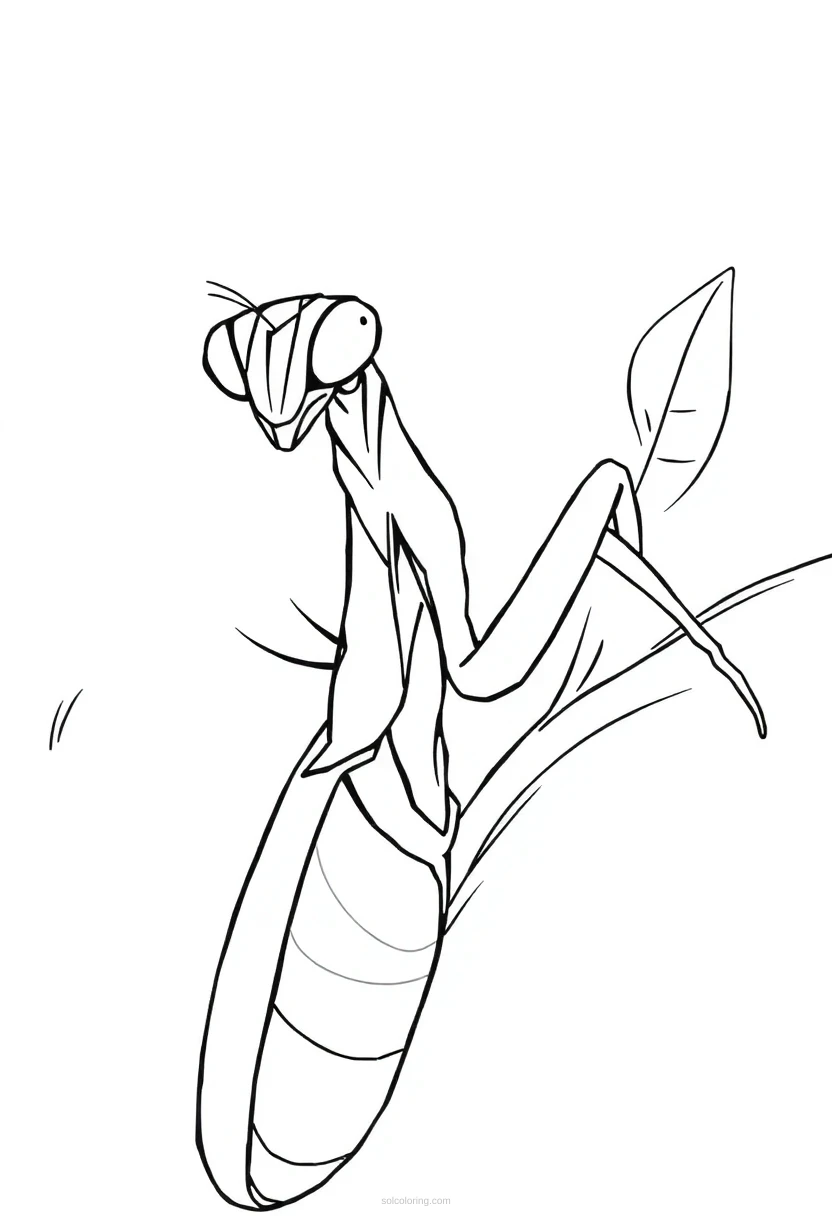 Praying Mantis coloring page for kids