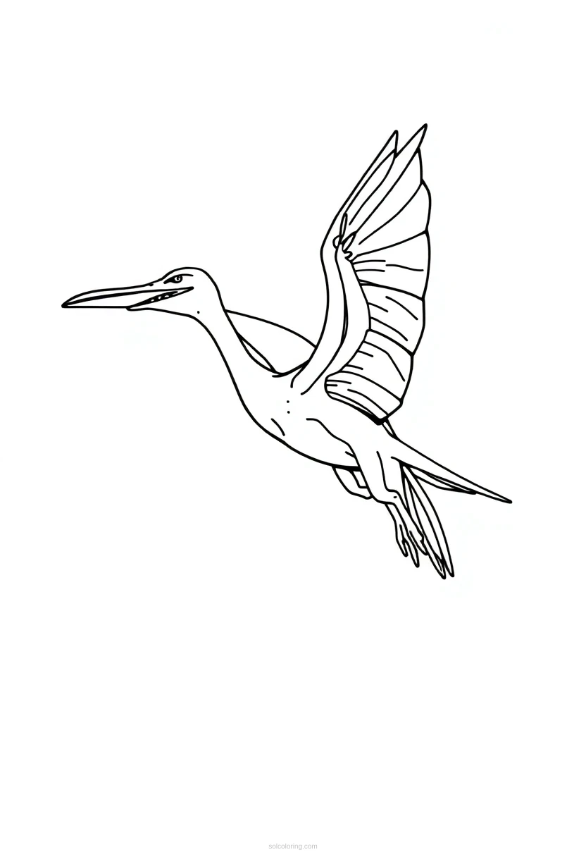 Pterodactyl coloring page for kids