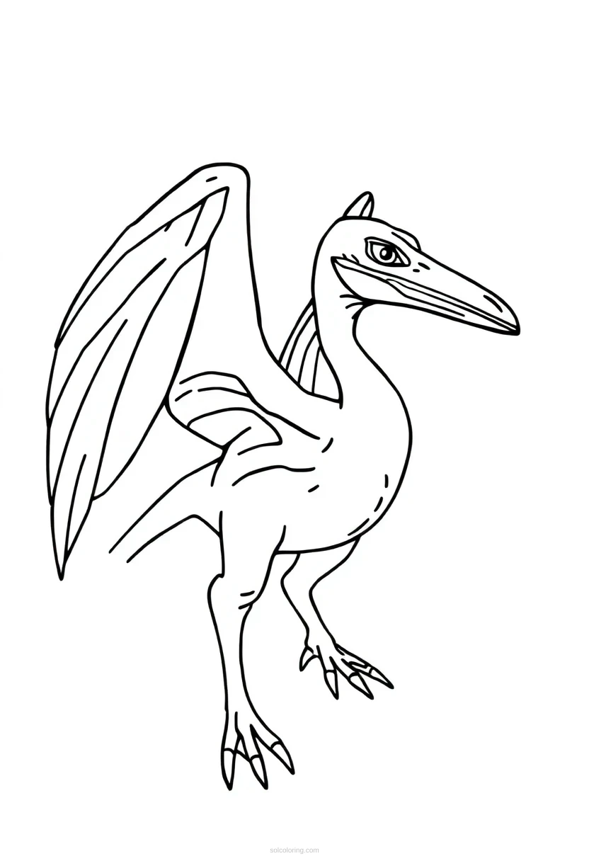 Pterodactyl coloring page for kids