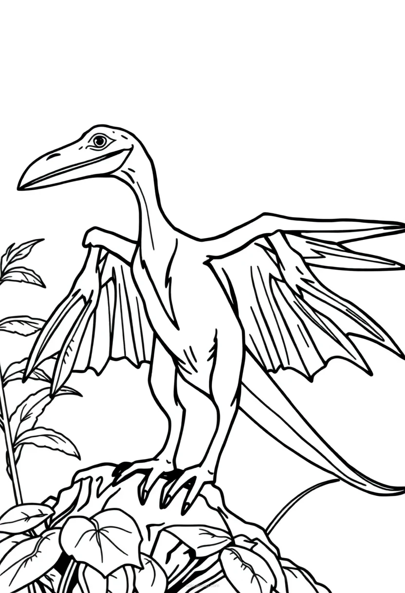 Pterodactyl coloring page for kids