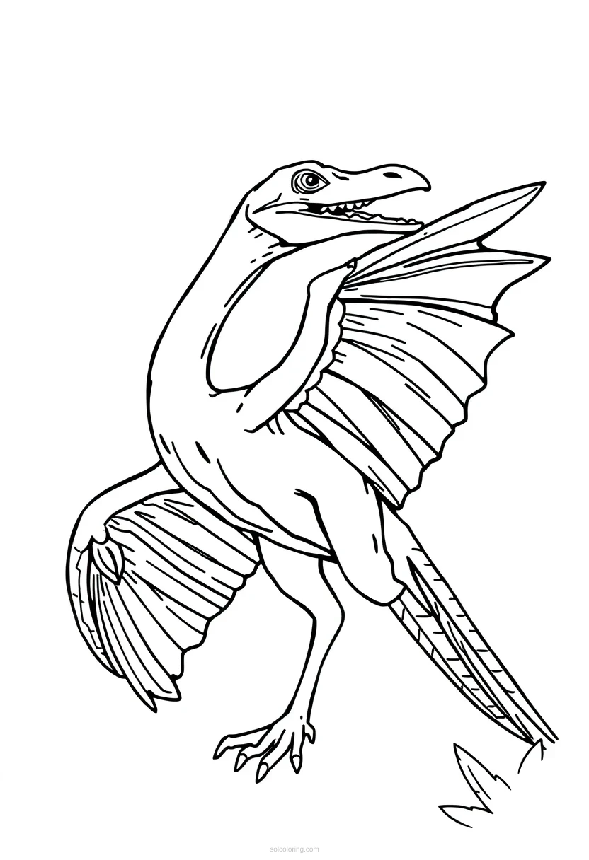Pterodactyl Chibi coloring pages