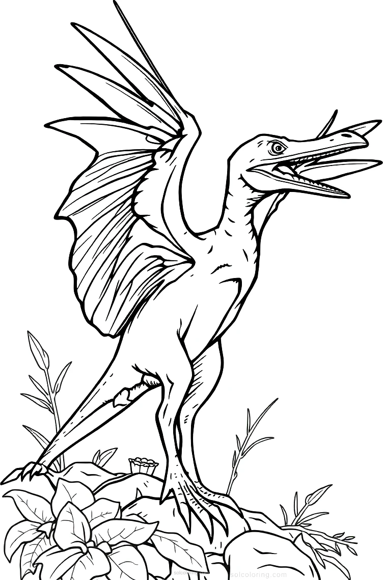 Pterodactyl coloring page for kids
