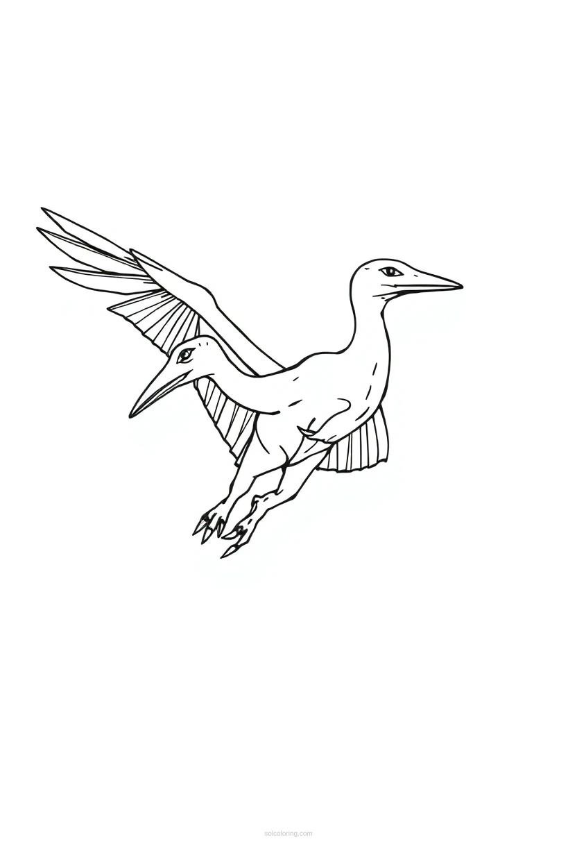 Pterodactyl coloring page for kids