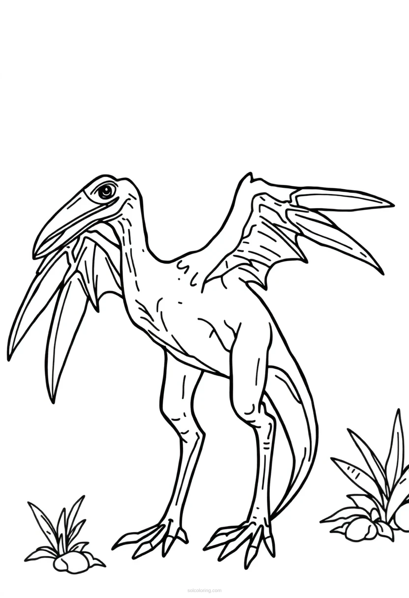 Pterodactyl coloring page for kids