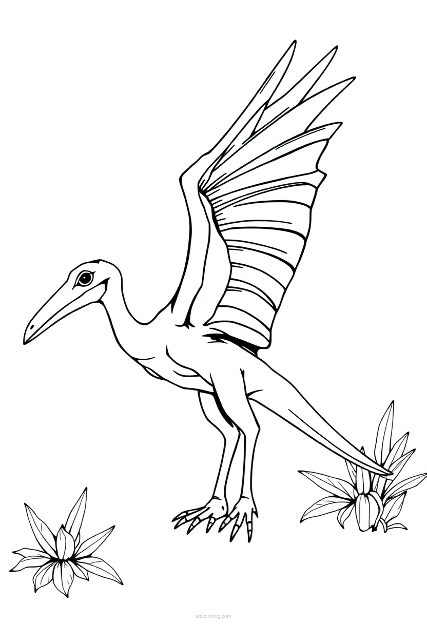 Pterodactyl coloring page for kids